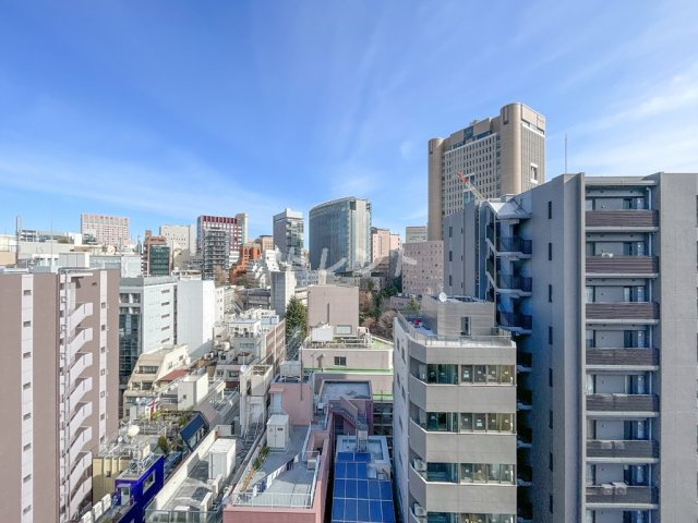 サークルズ神保町Ⅱレジデンス【CIRCLES神保町Ⅱレジデンス】-1101