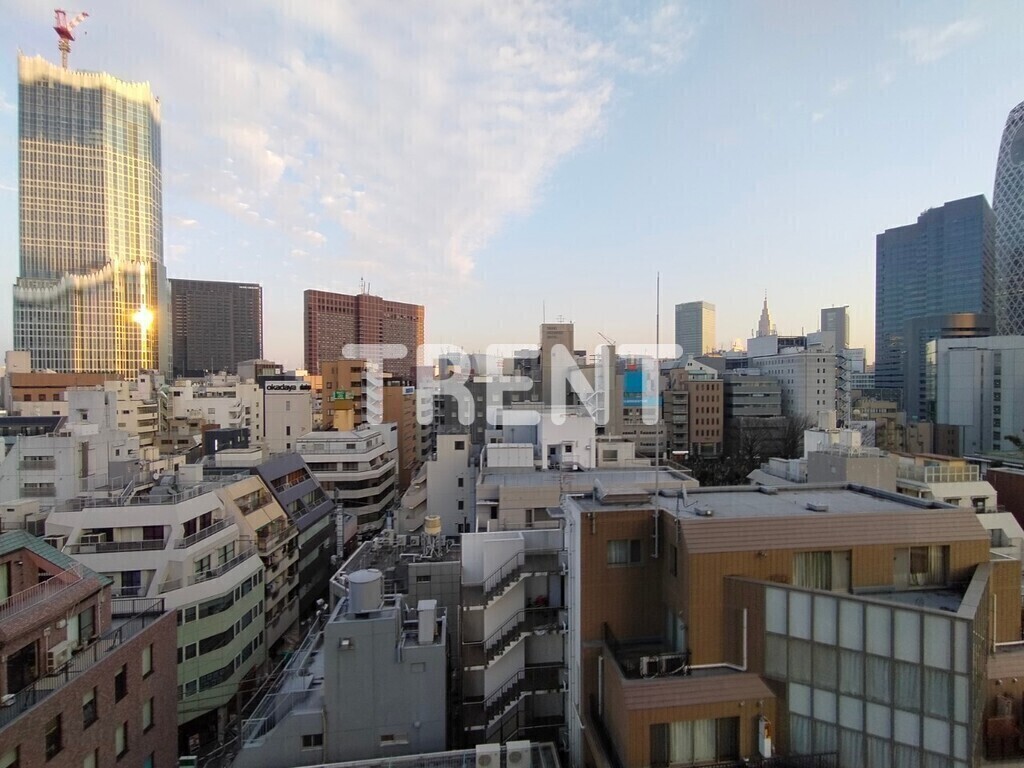 パークハビオ西新宿-301